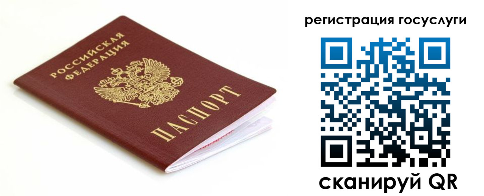 временная регистрация гарантия в Ростове